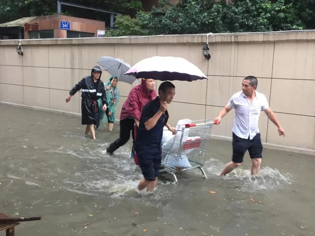 33金港