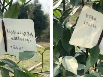 保利物业:拥抱春天 播种绿色