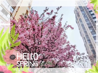 力宝·春景集┃共沐春风,阳光下的一切都好美