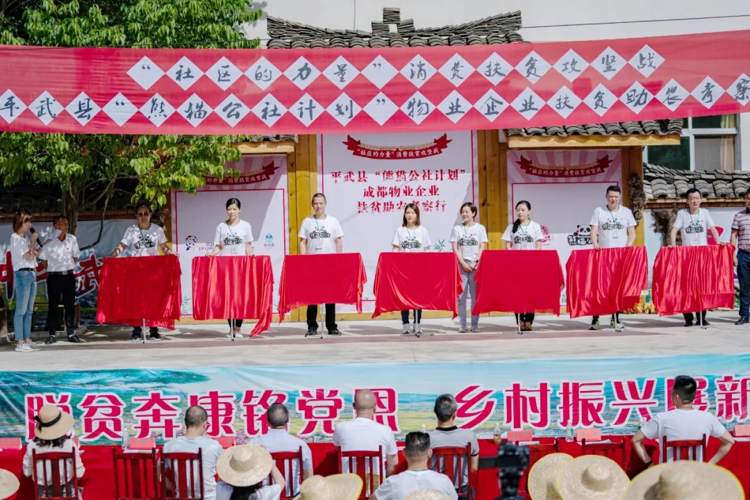 图片5
